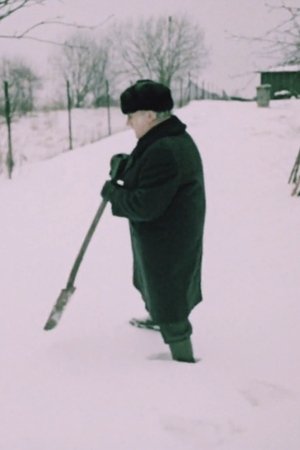 Aedniku talv