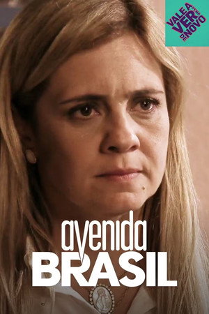 Brazil Avenue 31