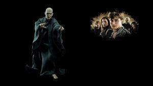 Harry Potter and the Deathly Hallows: Part 1 (2010)