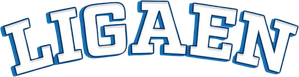 Ligaen