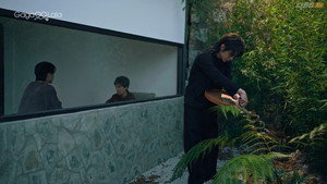 A Winter Sun Wakes the Wind in Spring Hills’ Dream: Episode 14