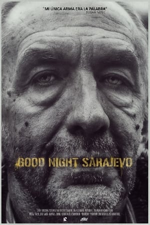 Poster Good Night Sarajevo (2014)