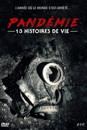 Poster Pandémie : 13 histoires de vie 2020