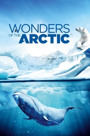 Poster 北极奇观 2014