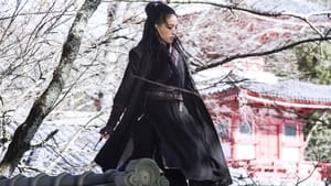 ดูหนัง The Assassin (2015) ประกาศิตหงส์สังหาร [Full-HD]