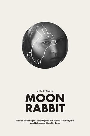 Image Moon Rabbit