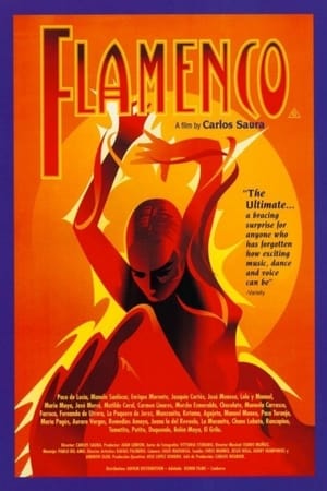 Flamenco film complet