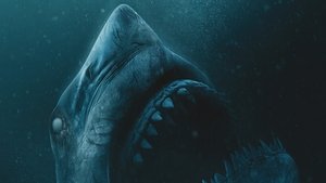 Hung Thần Đại Dương: Thảm Sát - 47 Meters Down: Uncaged (2019)