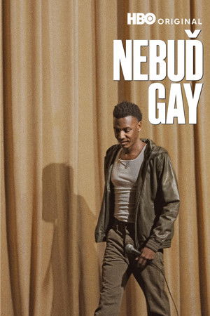 Nebuď gay (2025)