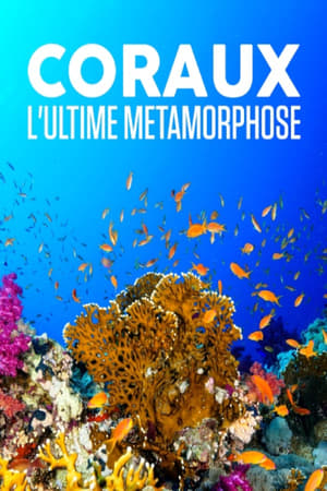 Image Coraux, l'ultime métamorphose