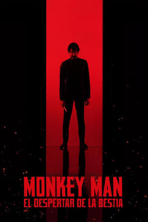 Poster Monkey Man 2024