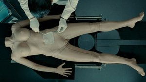 The Skin I Live In (2011)