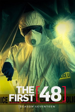 Season 17 poster