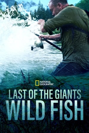 watch-Last of the Giants