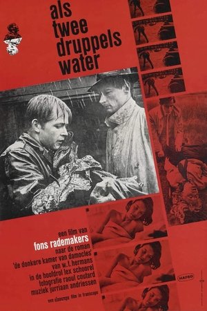 Poster Als twee druppels water 1963