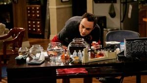 The Big Bang Theory: 1×4