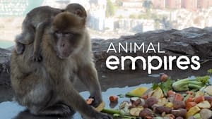 Animal Empires