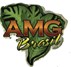 AMG Brasil