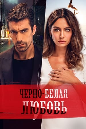 Poster Чёрно-белая любовь Сезон 1 Эпизод 25 2018