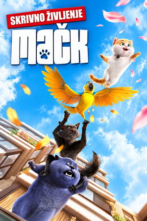 Cats 57