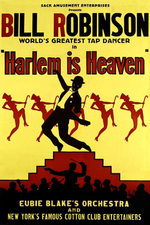 Harlem Is Heaven poster