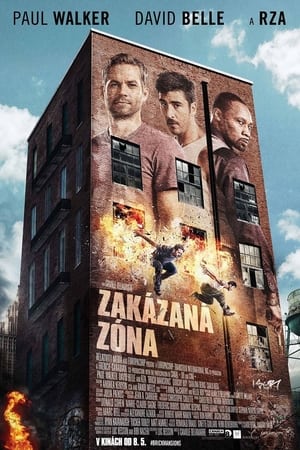 Poster Zakázaná zóna 2014