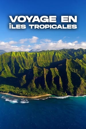 Poster Voyage en îles tropicales 2020