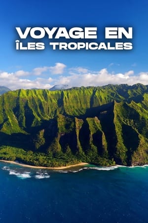 Image Voyage en îles tropicales