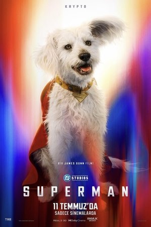 poster Superman