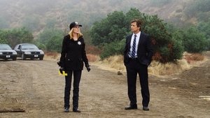 CSI: Crime Scene Investigation: 12×9