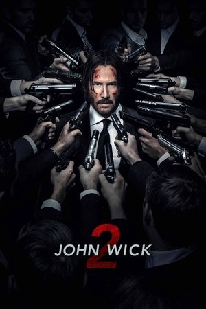 John Wick: Chapter 2 poster