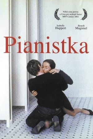 Image Pianistka