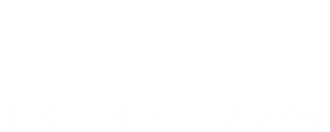 The Playbirds — Logos 2