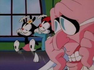 Animaniacs Taming of the Screwy