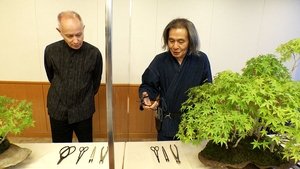 Japanology Plus: 8×19