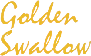 Golden Swallow