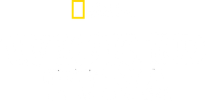 Wicked Tuna
