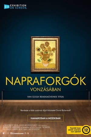 Napraforgók vonzásában