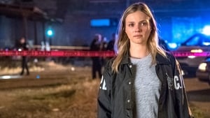 Chicago P.D. Temporada 5 Capitulo 6