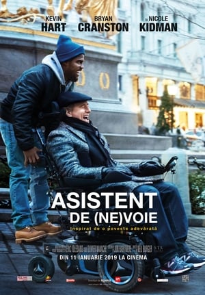 Asistent de (ne)voie (2019)