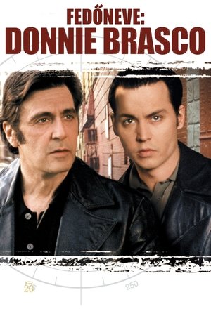 Image Fedőneve: Donnie Brasco