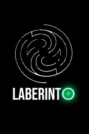 Poster Laberinto 1997