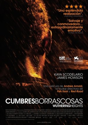 Watch Cumbres borrascosas (2011) HD Movie Online Free