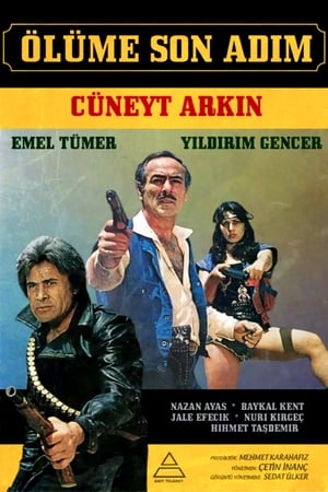Poster Ölüme Son Adım ( Mad Max turco ) 1983