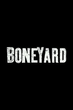 Boneyard 2024