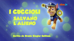 Paw Patrol 2×2