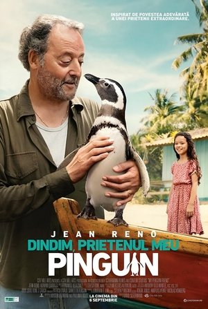 Image DinDim, prietenul meu pinguin
