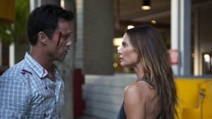 Burn Notice: Sezon 3 Odcinek 16