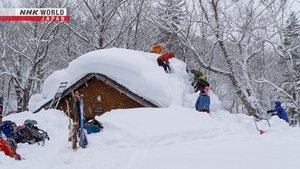 Journeys in Japan: 14×10