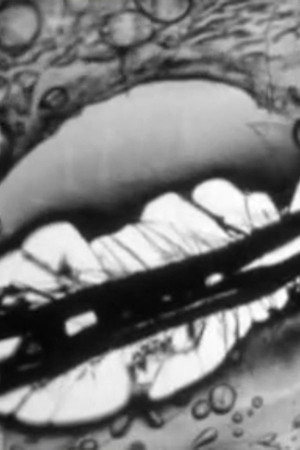 Celluloid Warfare (2009)